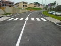 RGB_Bechi_Pisa_Bypass_Strada_Collesalvetti_attraversamenti_